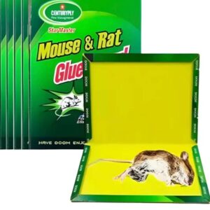 Trampa atrapa rata roedores.  G