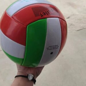 Pelota Voley
