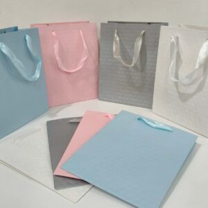 Bolsa de regalo colores lisos x12u--23x18x10cm